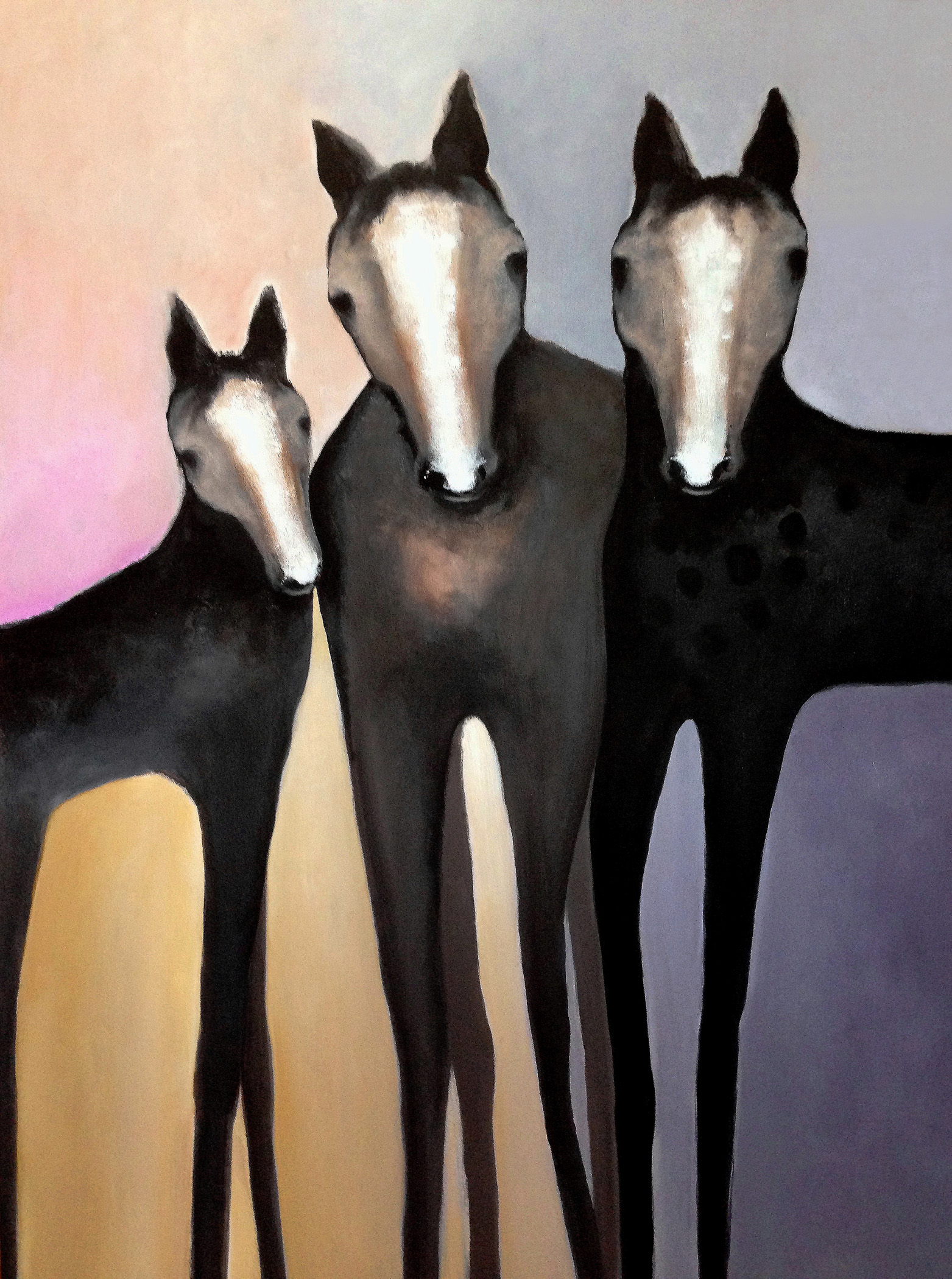 3 Wild Horses by
            VMR